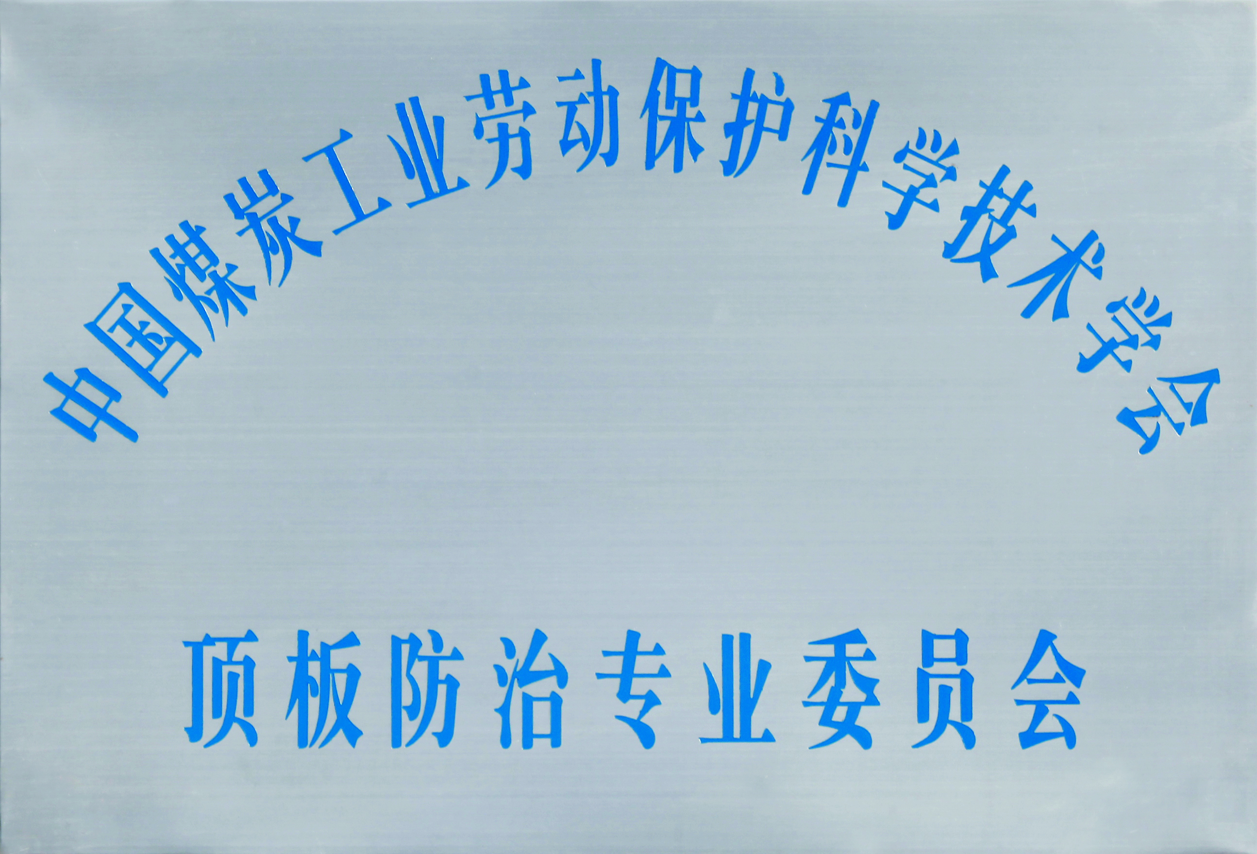 頂板防治專業(yè)委員會