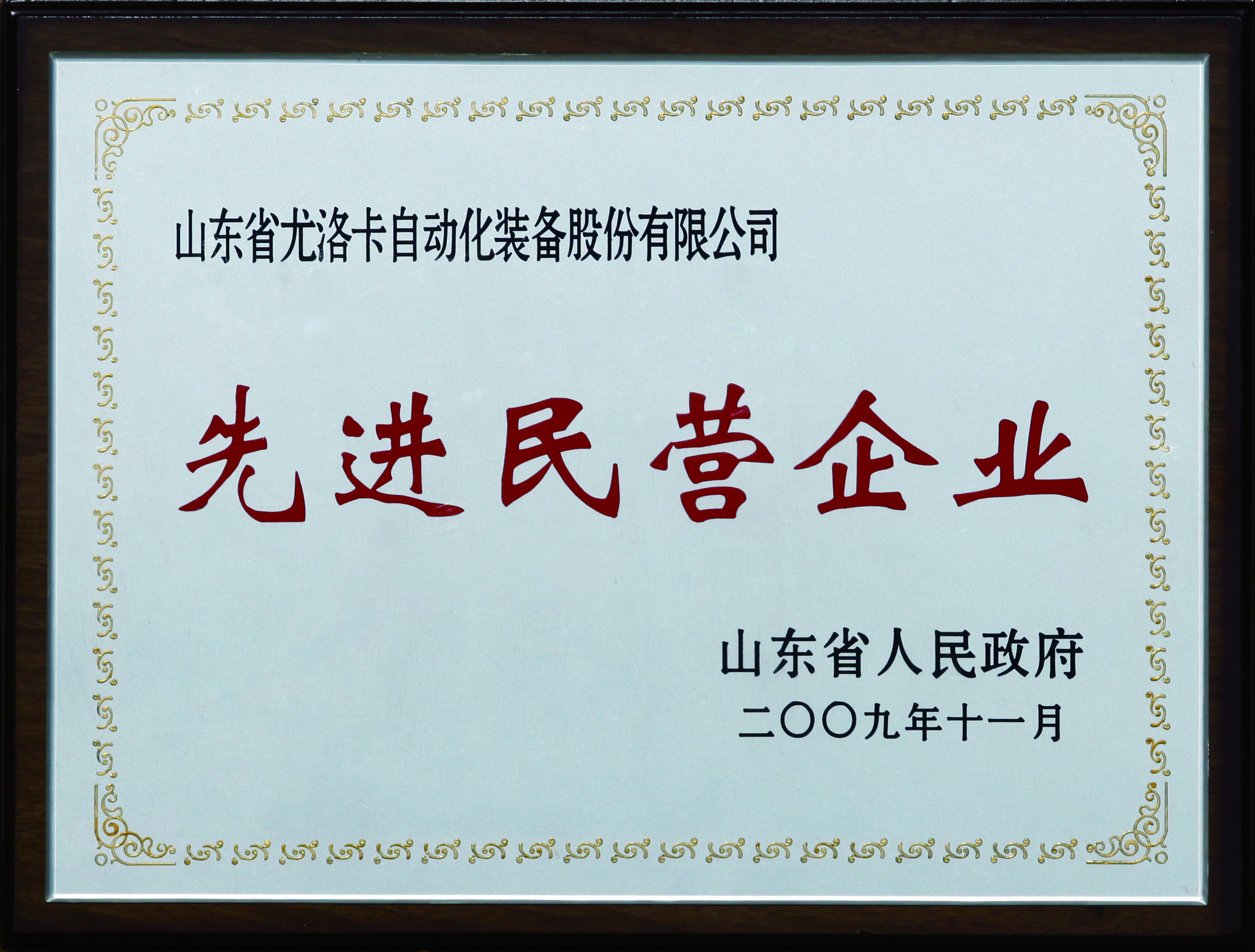 先進(jìn)民營(yíng)企業(yè)